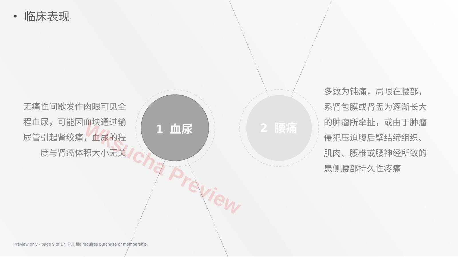 预览第 9 页