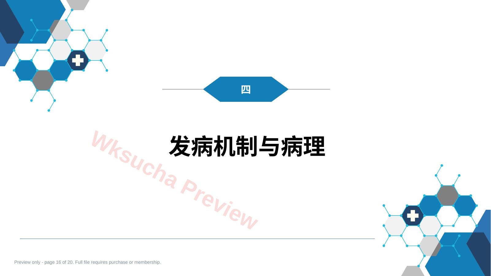 预览第 16 页
