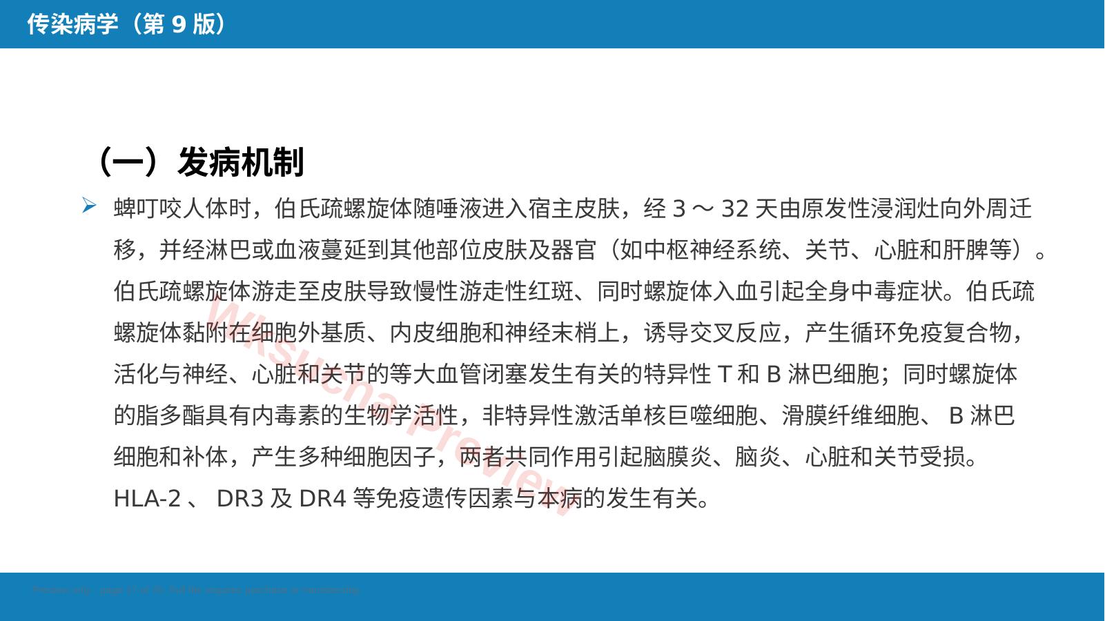 预览第 17 页