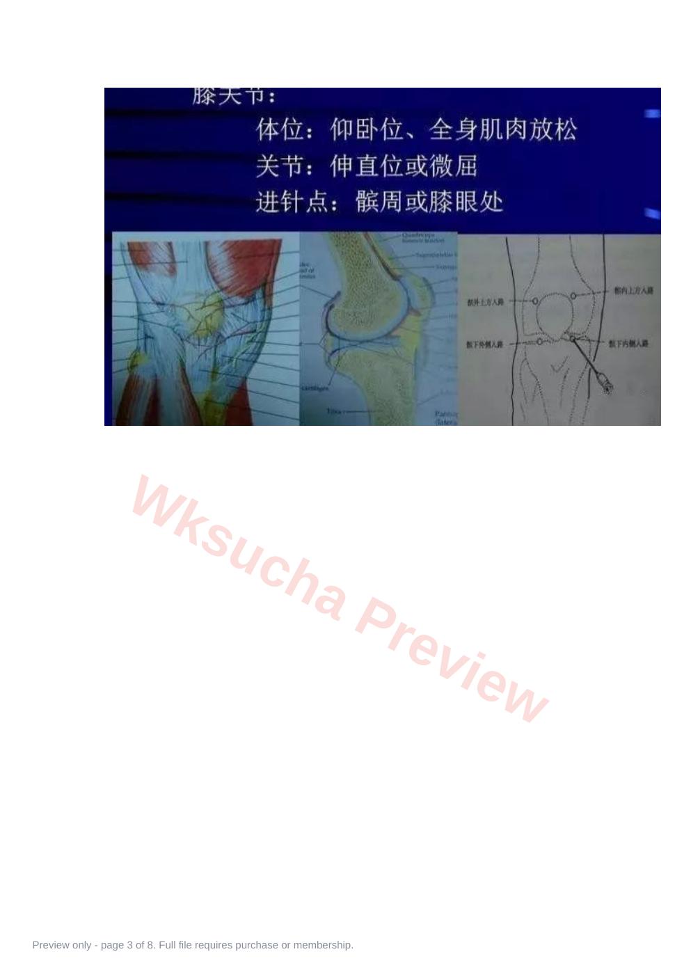 预览第 3 页