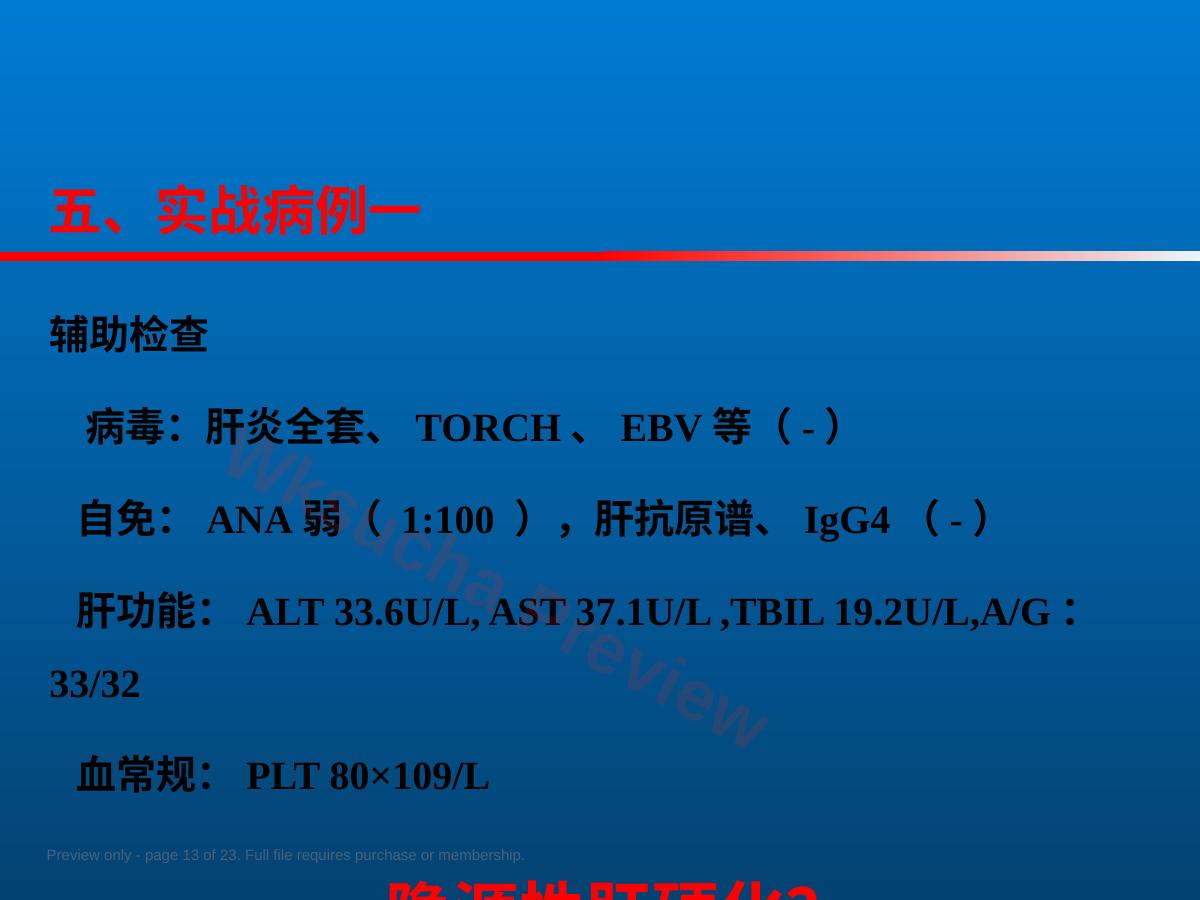 预览第 13 页