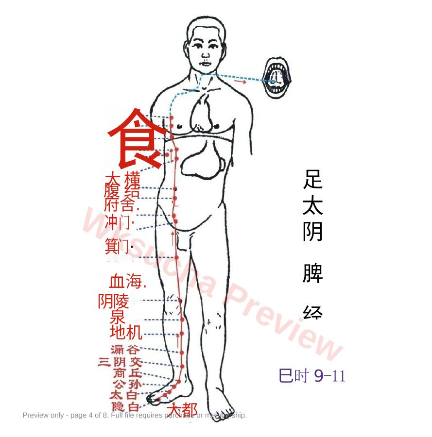 预览第 4 页