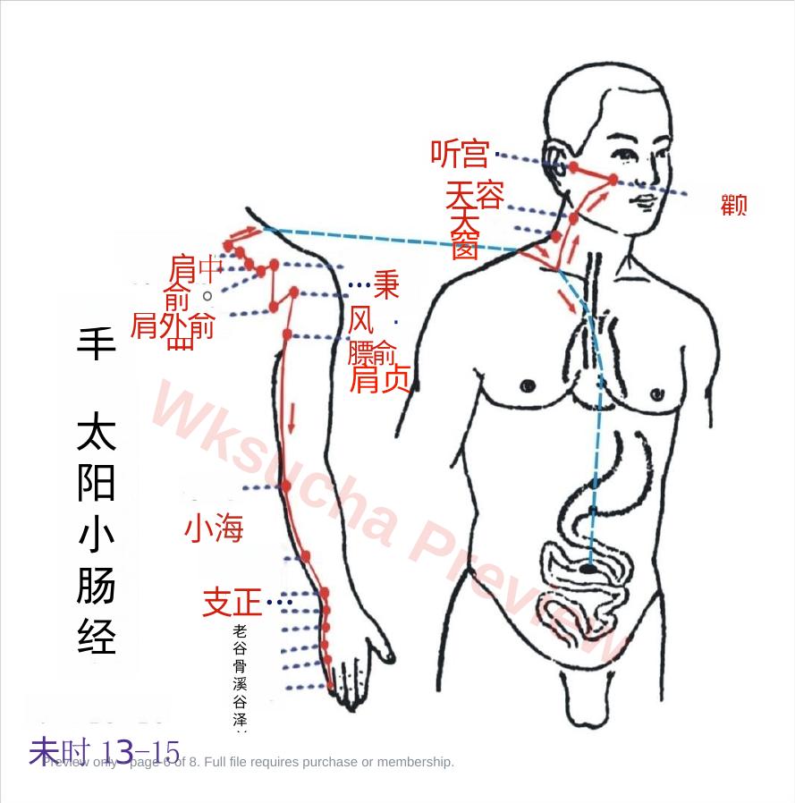 预览第 6 页