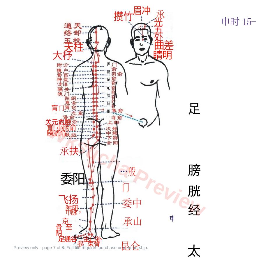 预览第 7 页