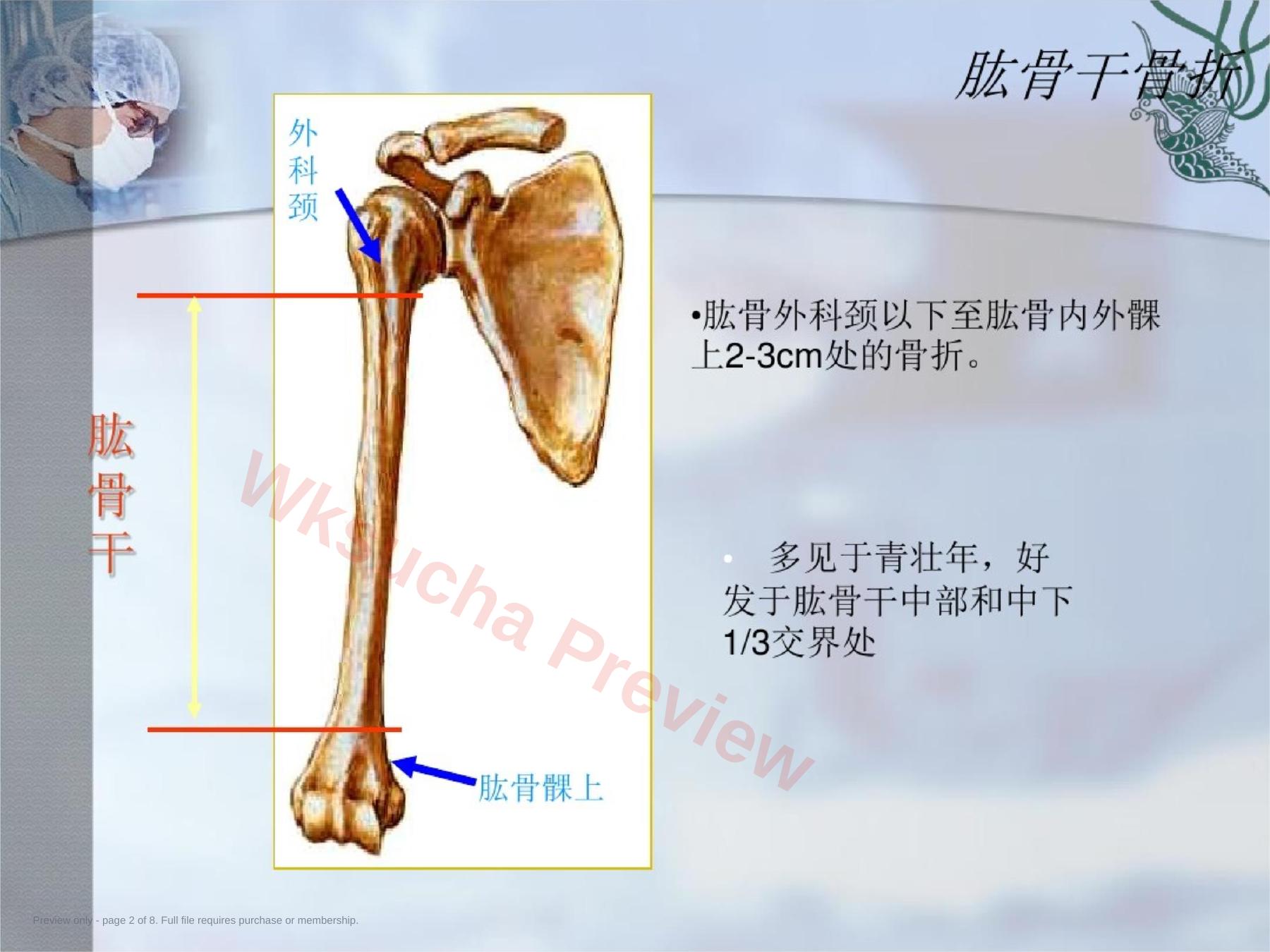 预览第 2 页