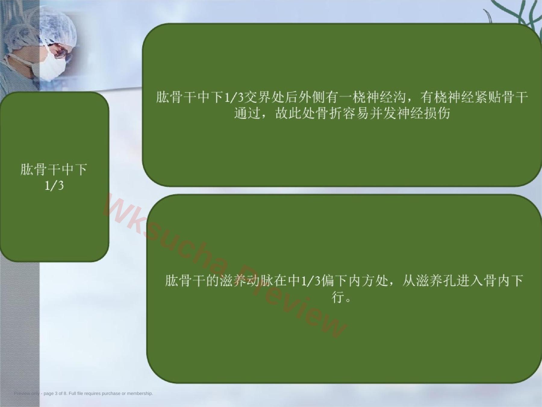 预览第 3 页