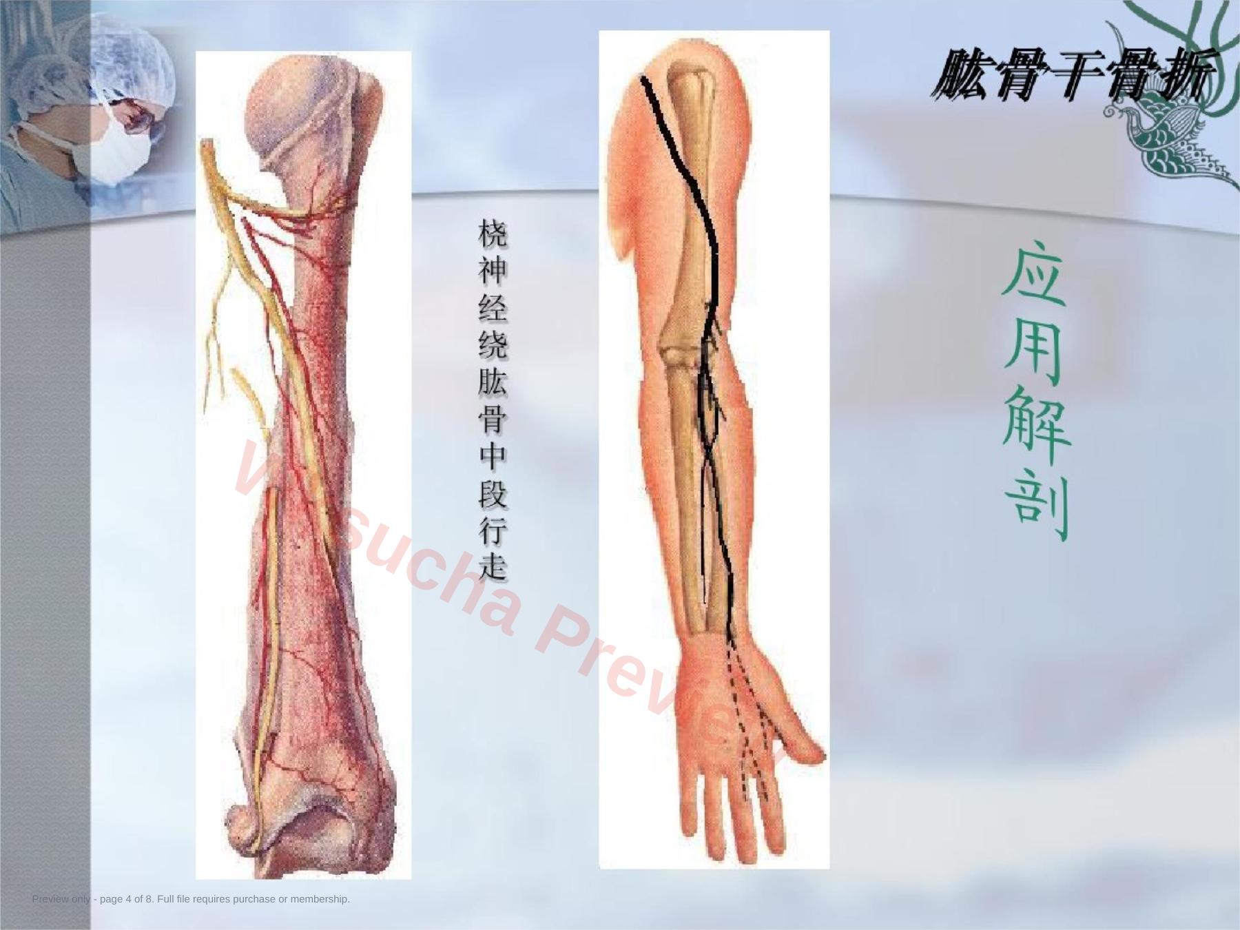 预览第 4 页