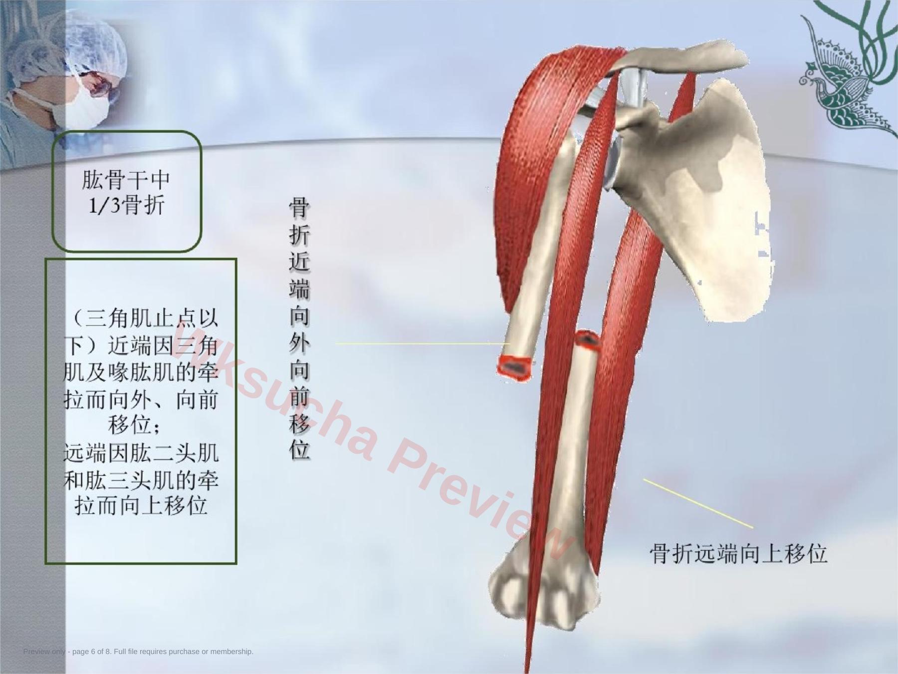 预览第 6 页