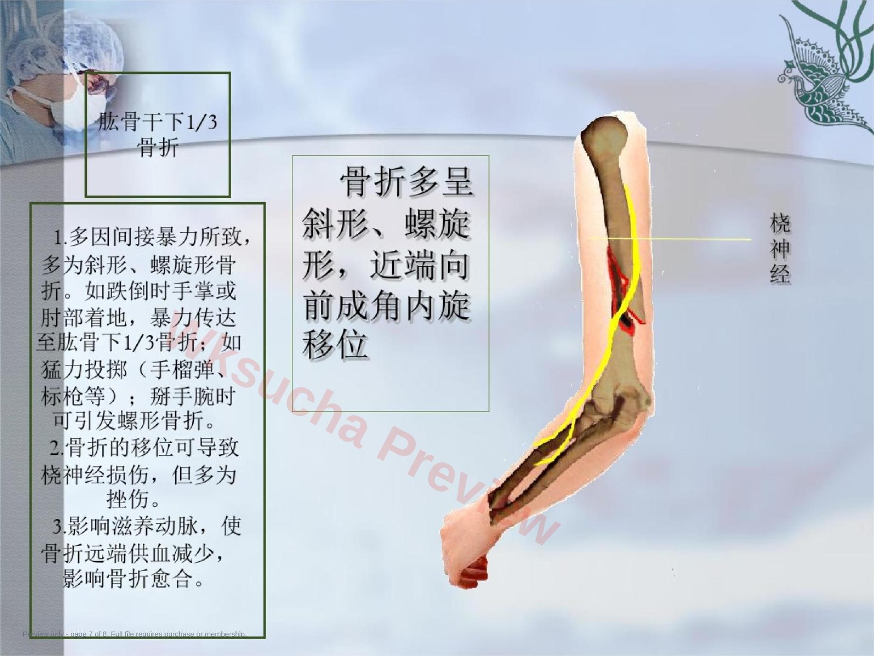 预览第 7 页