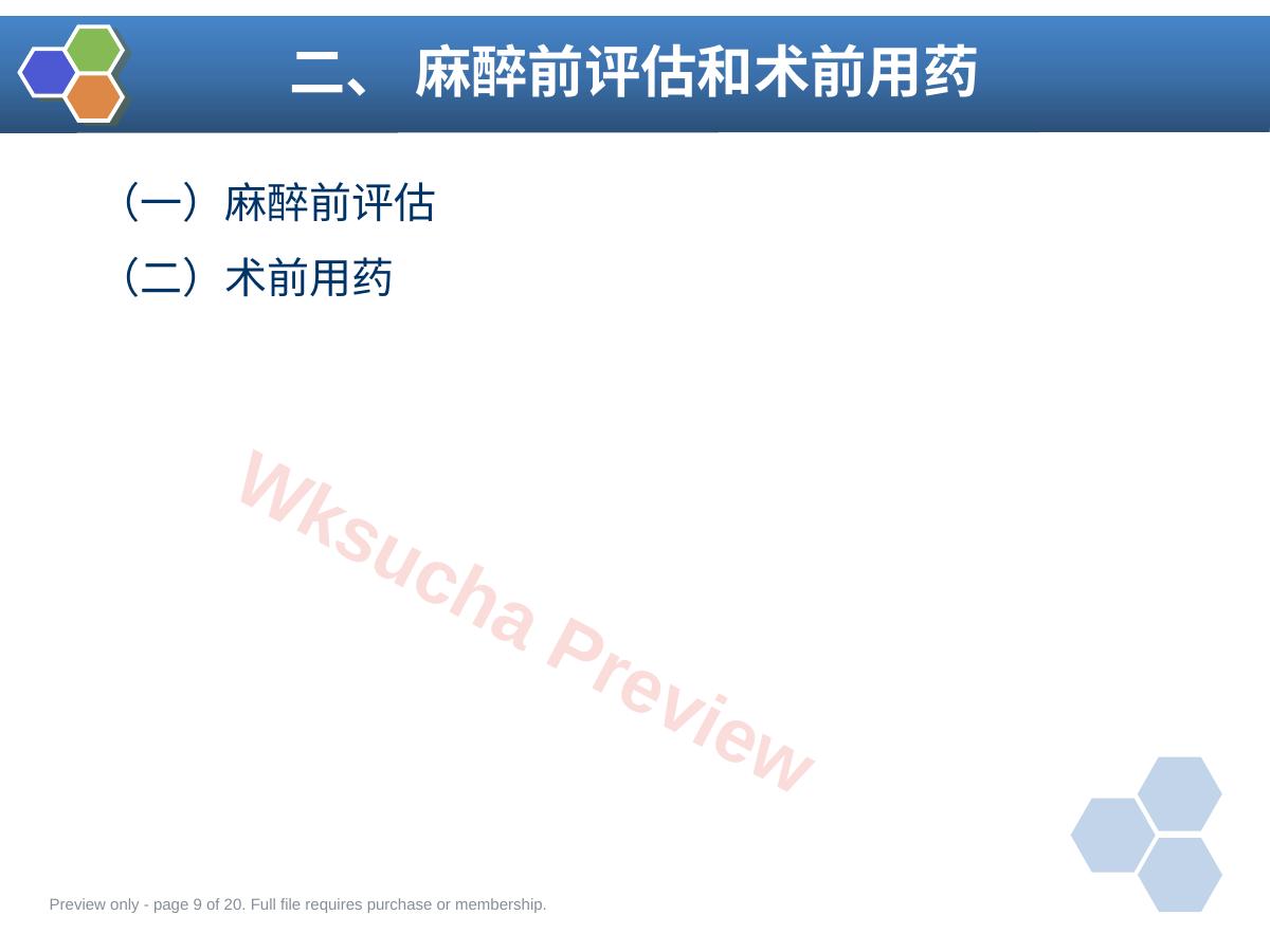 预览第 9 页