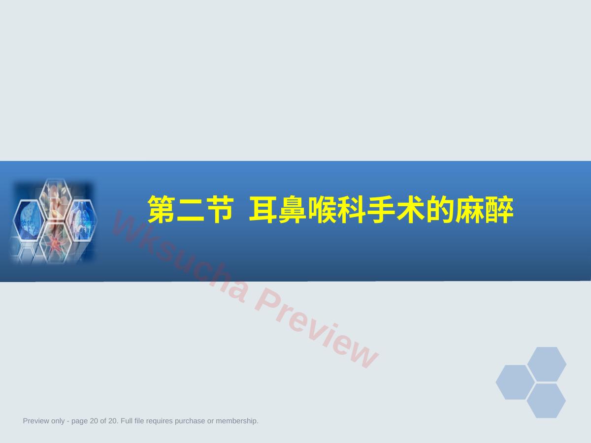 预览第 20 页