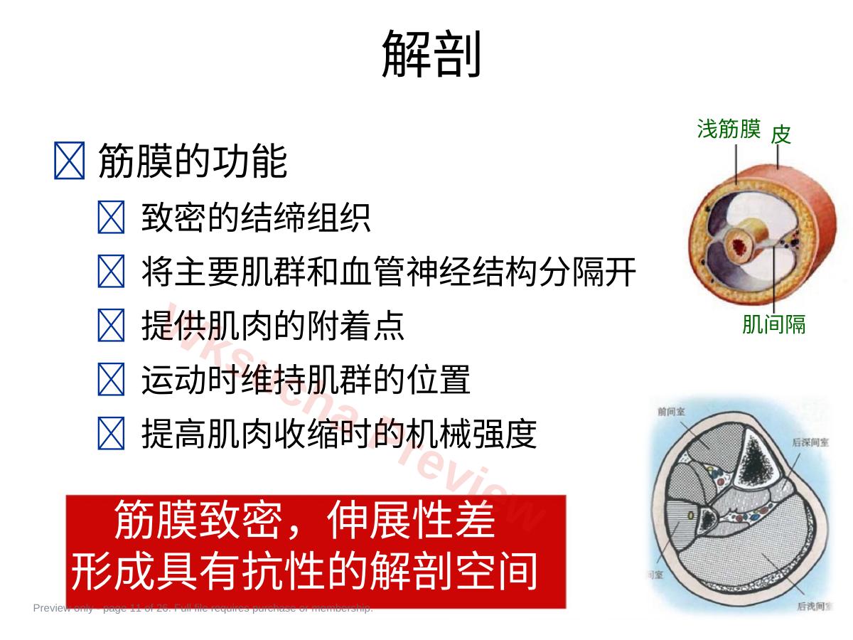 预览第 11 页