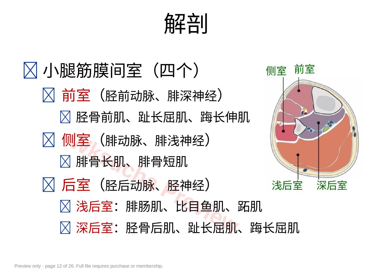 预览第 12 页