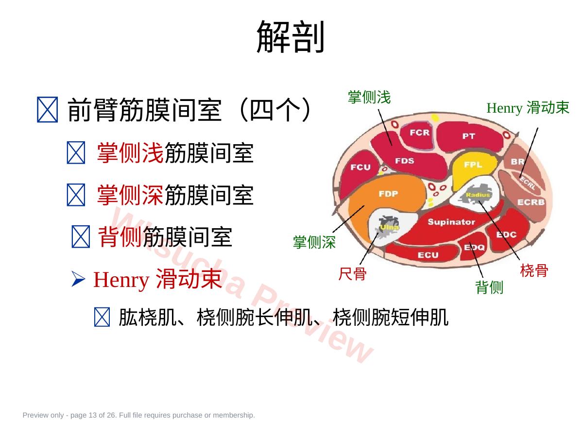 预览第 13 页