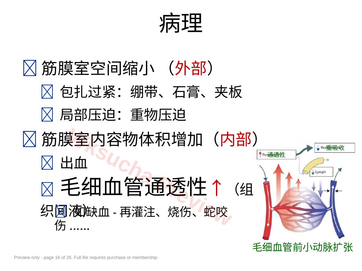 预览第 16 页