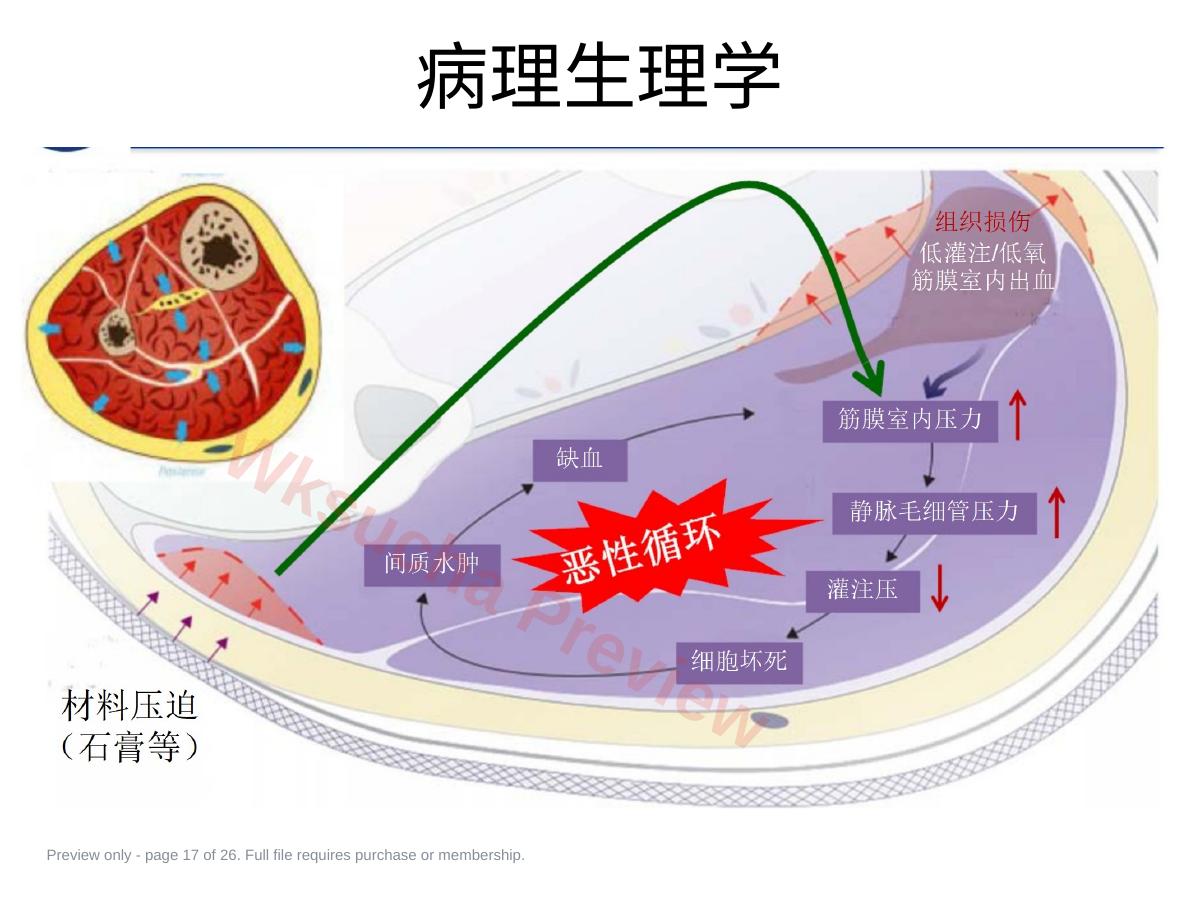 预览第 17 页