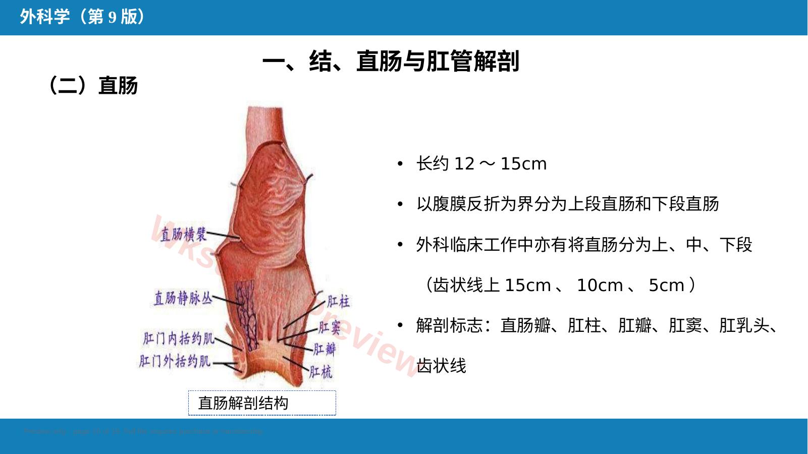 预览第 10 页