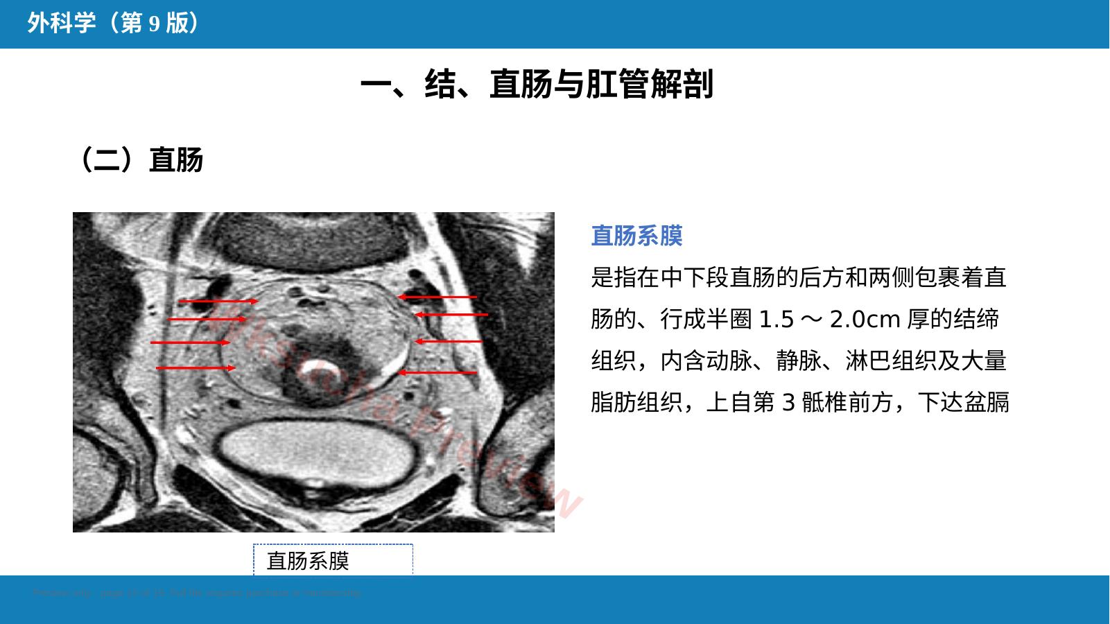 预览第 12 页