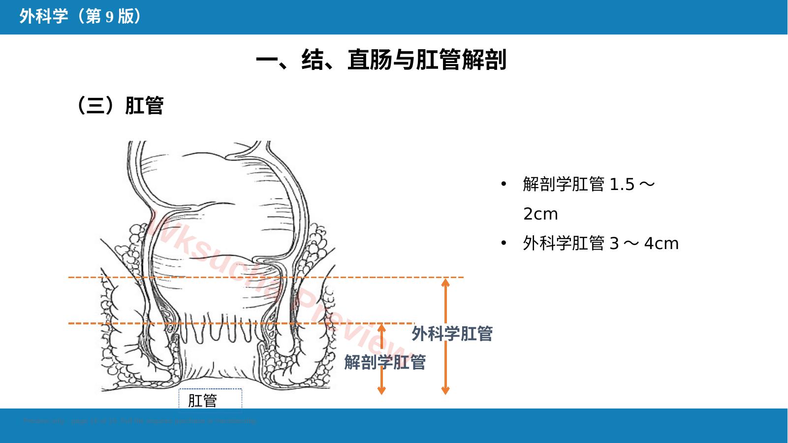 预览第 16 页