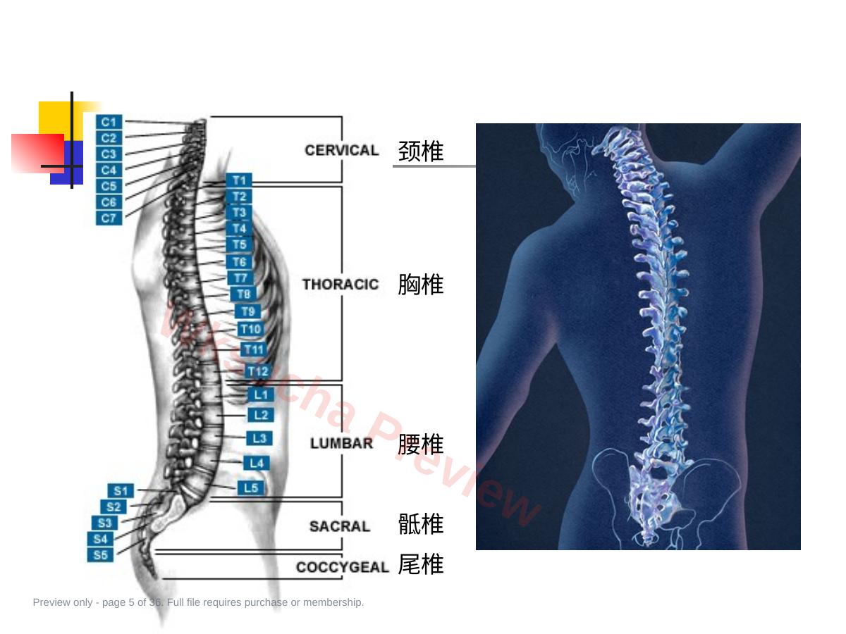 预览第 5 页