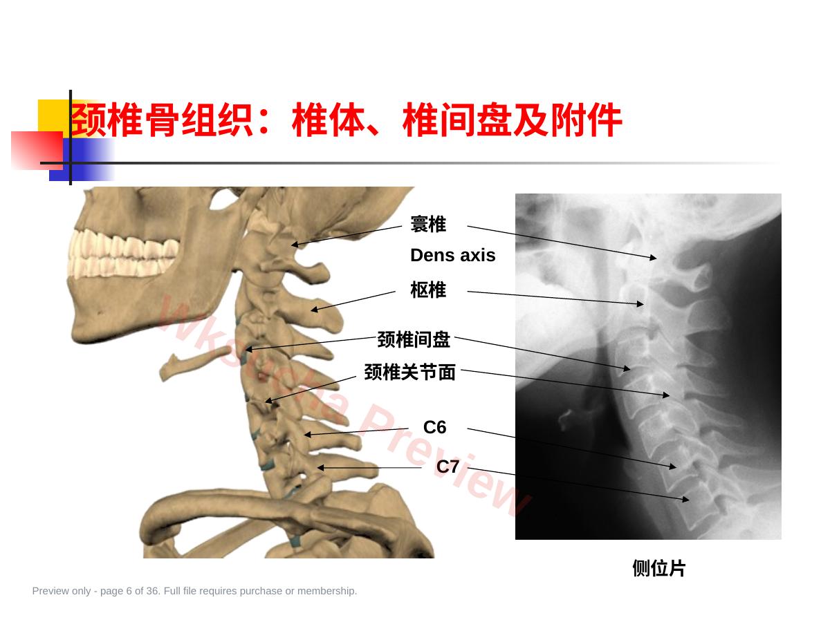 预览第 6 页