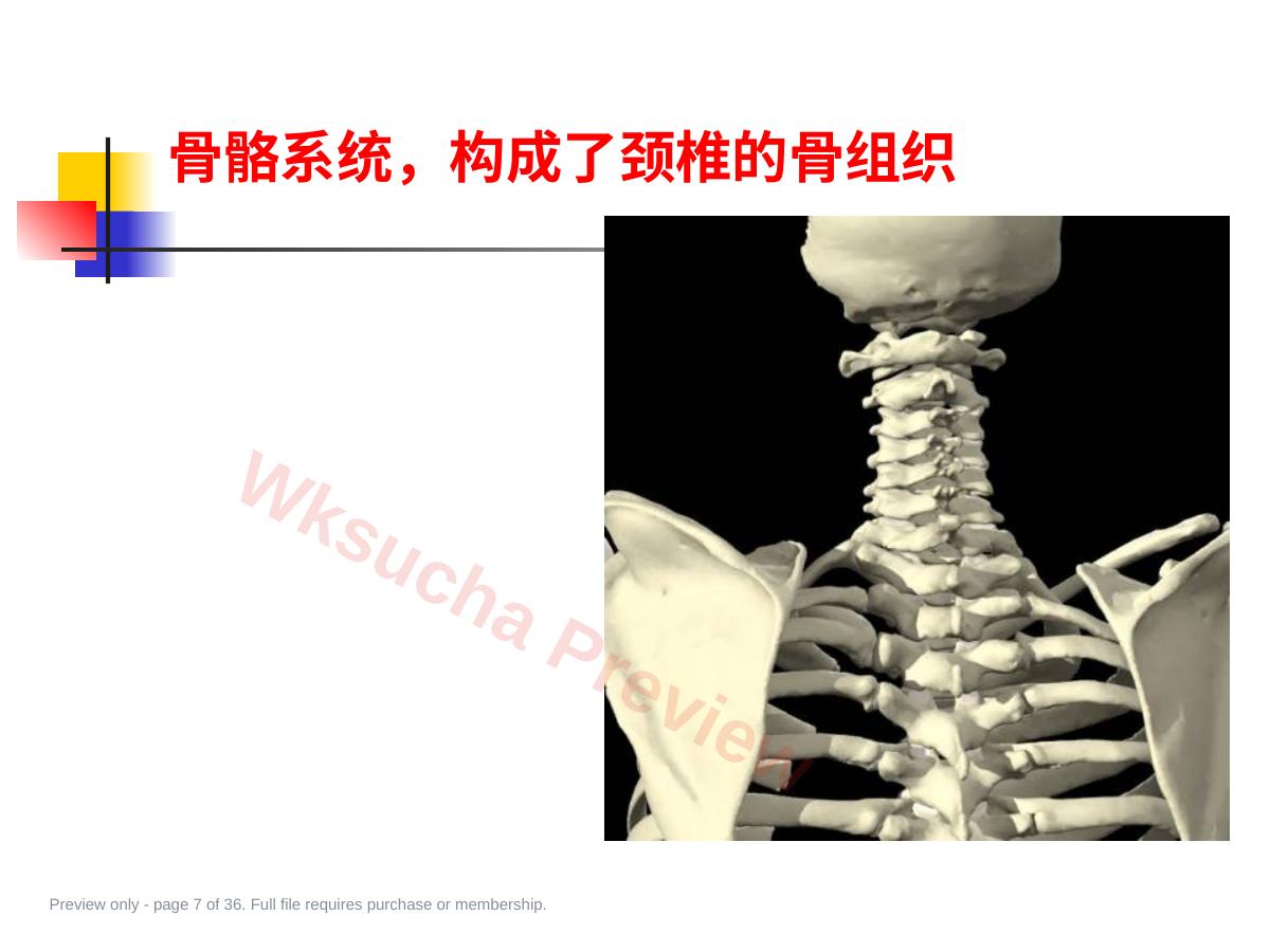 预览第 7 页