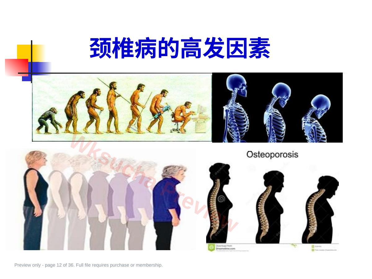 预览第 12 页