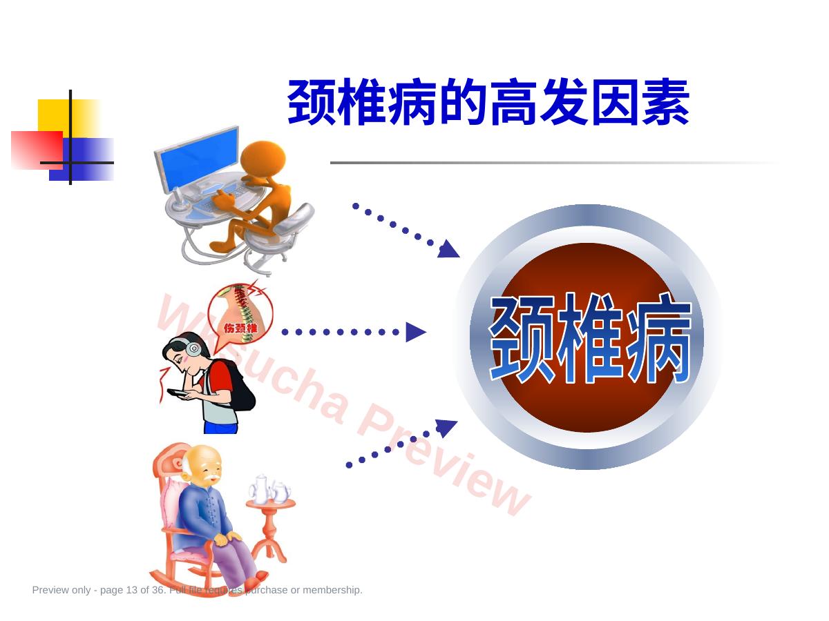 预览第 13 页