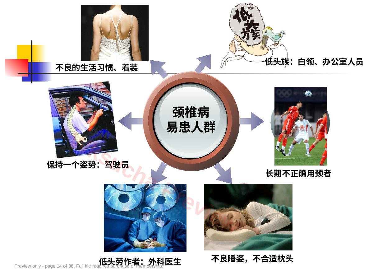 预览第 14 页