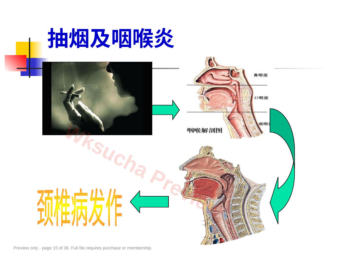 预览第 15 页