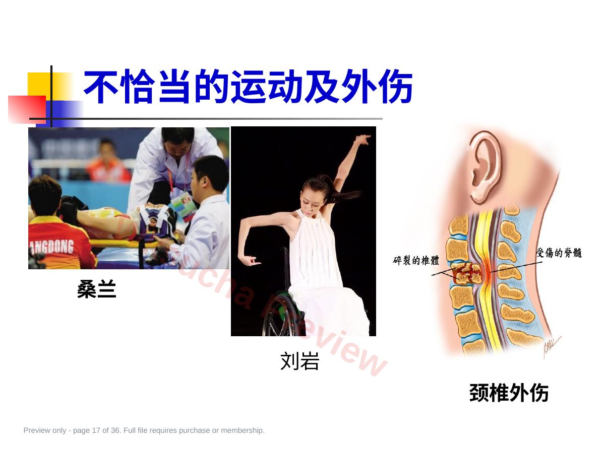 预览第 17 页