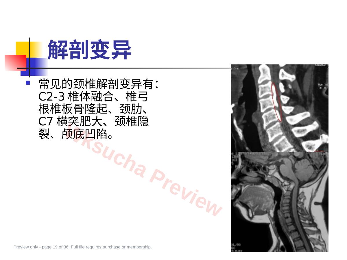 预览第 19 页