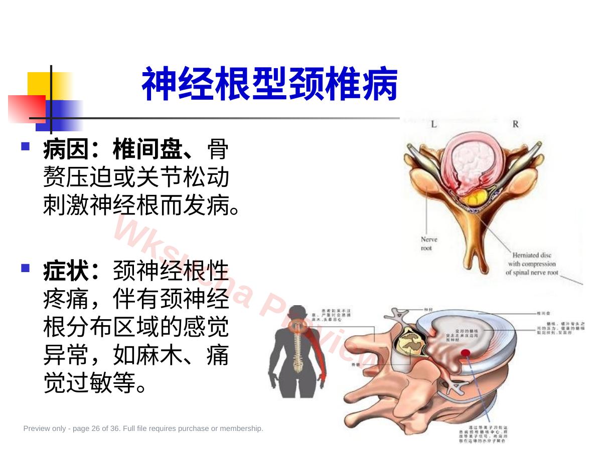 预览第 26 页