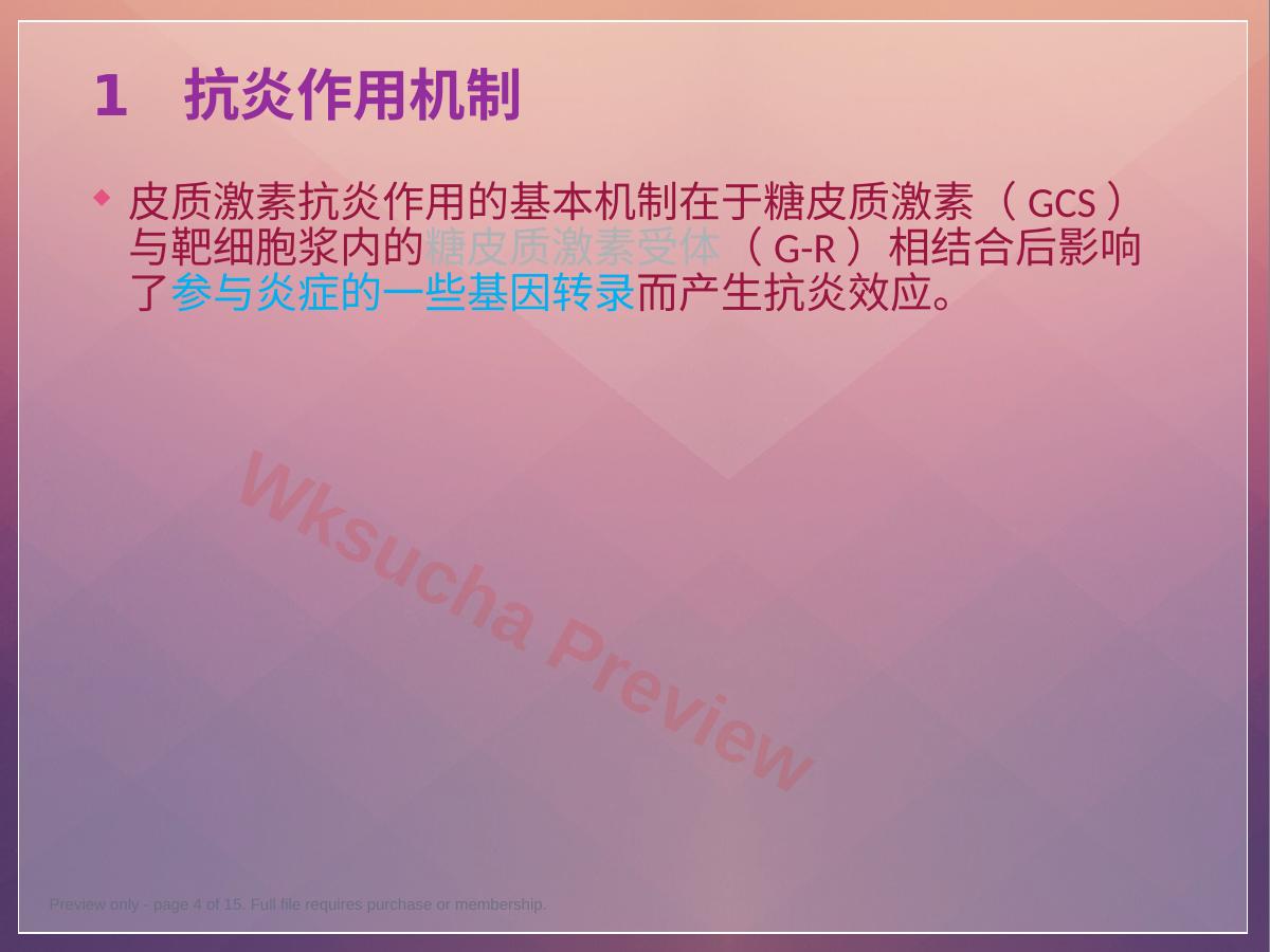 预览第 4 页