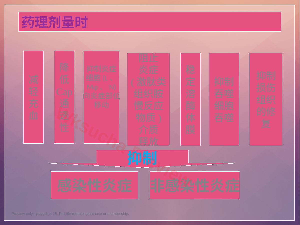 预览第 5 页