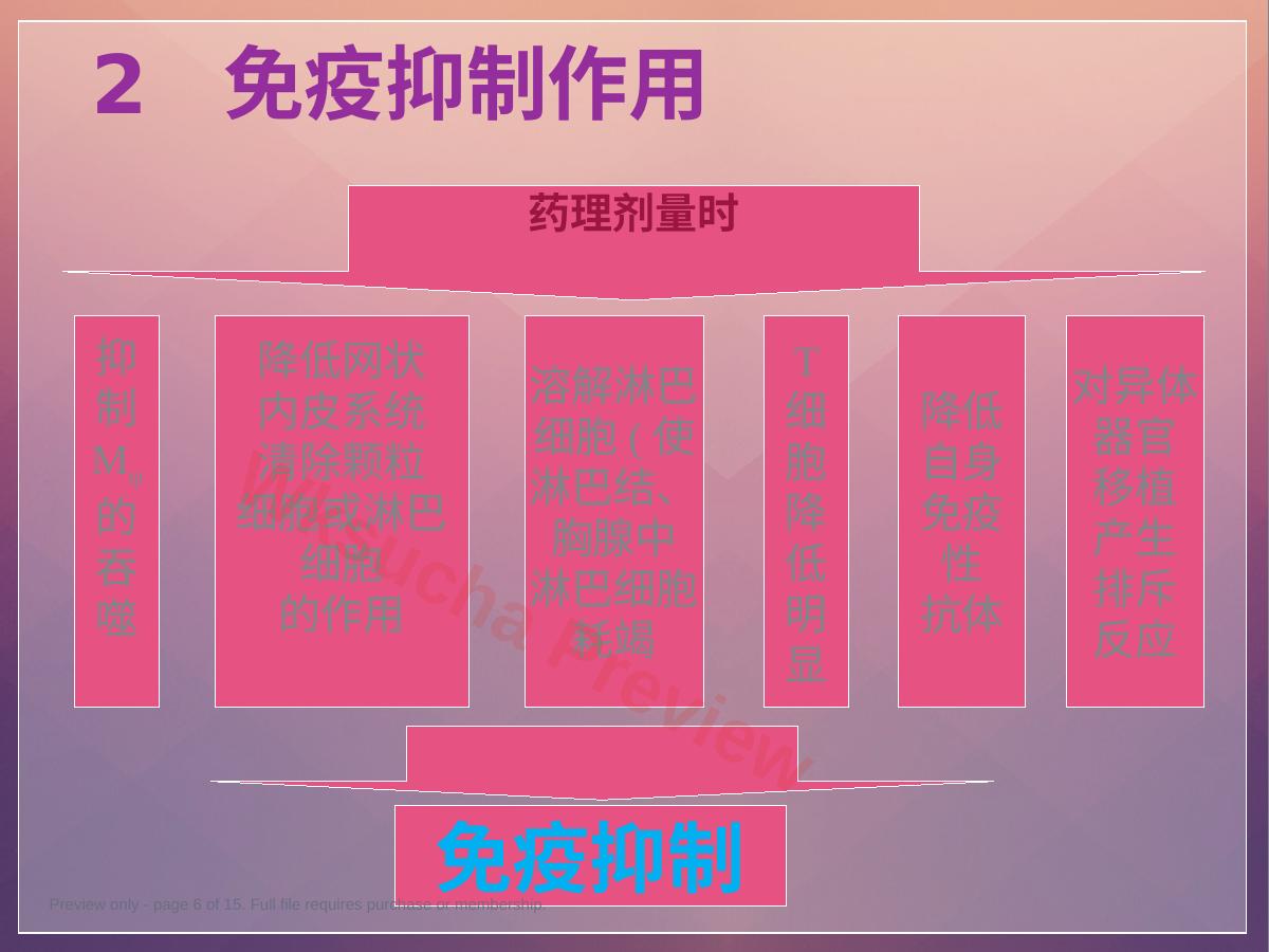 预览第 6 页