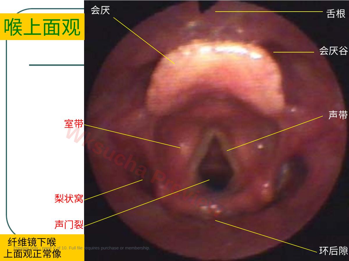 预览第 6 页