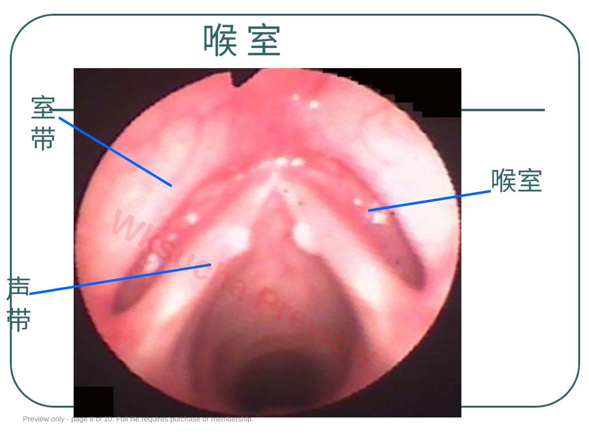 预览第 8 页