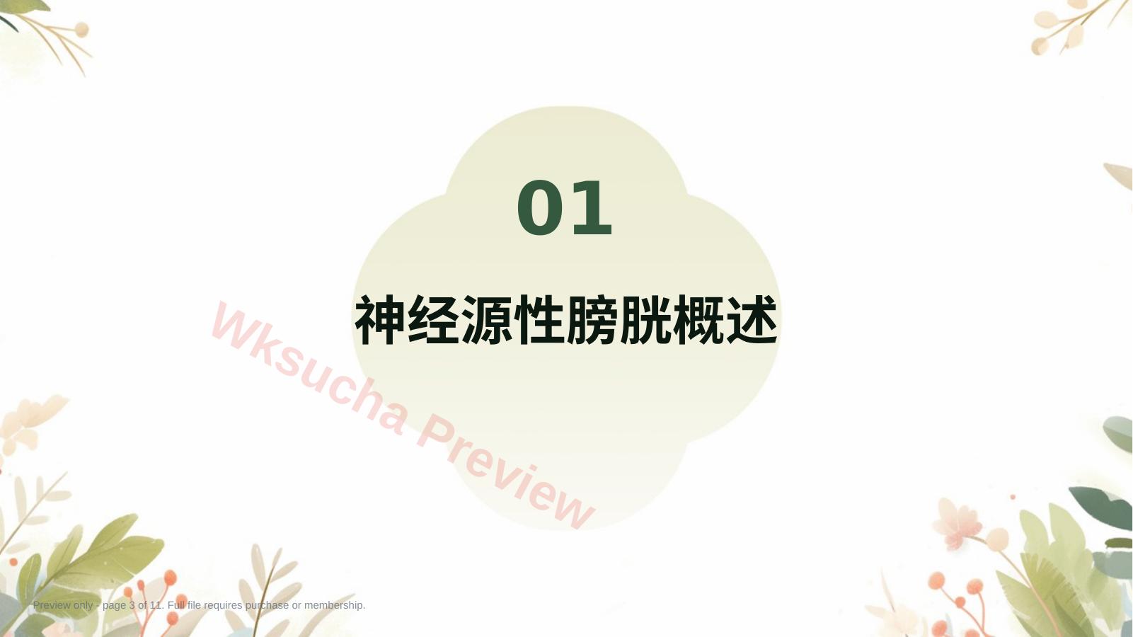 预览第 3 页