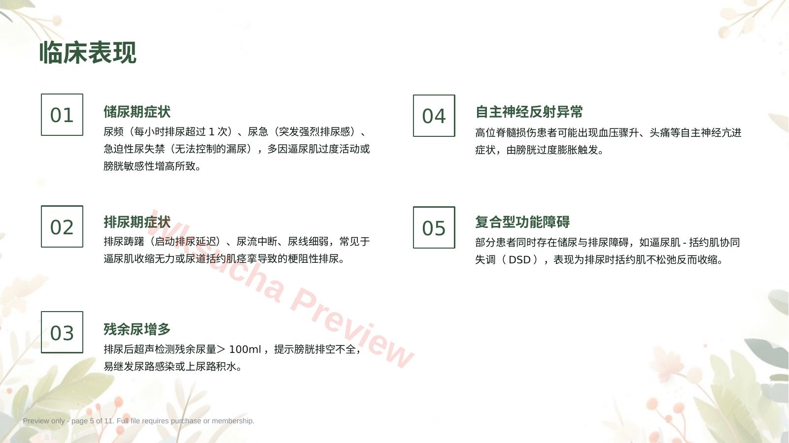 预览第 5 页