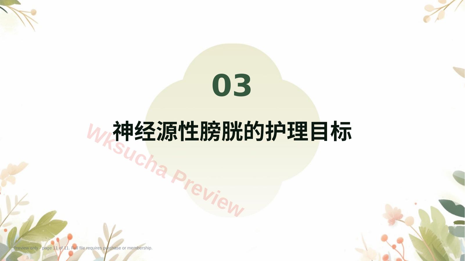 预览第 11 页