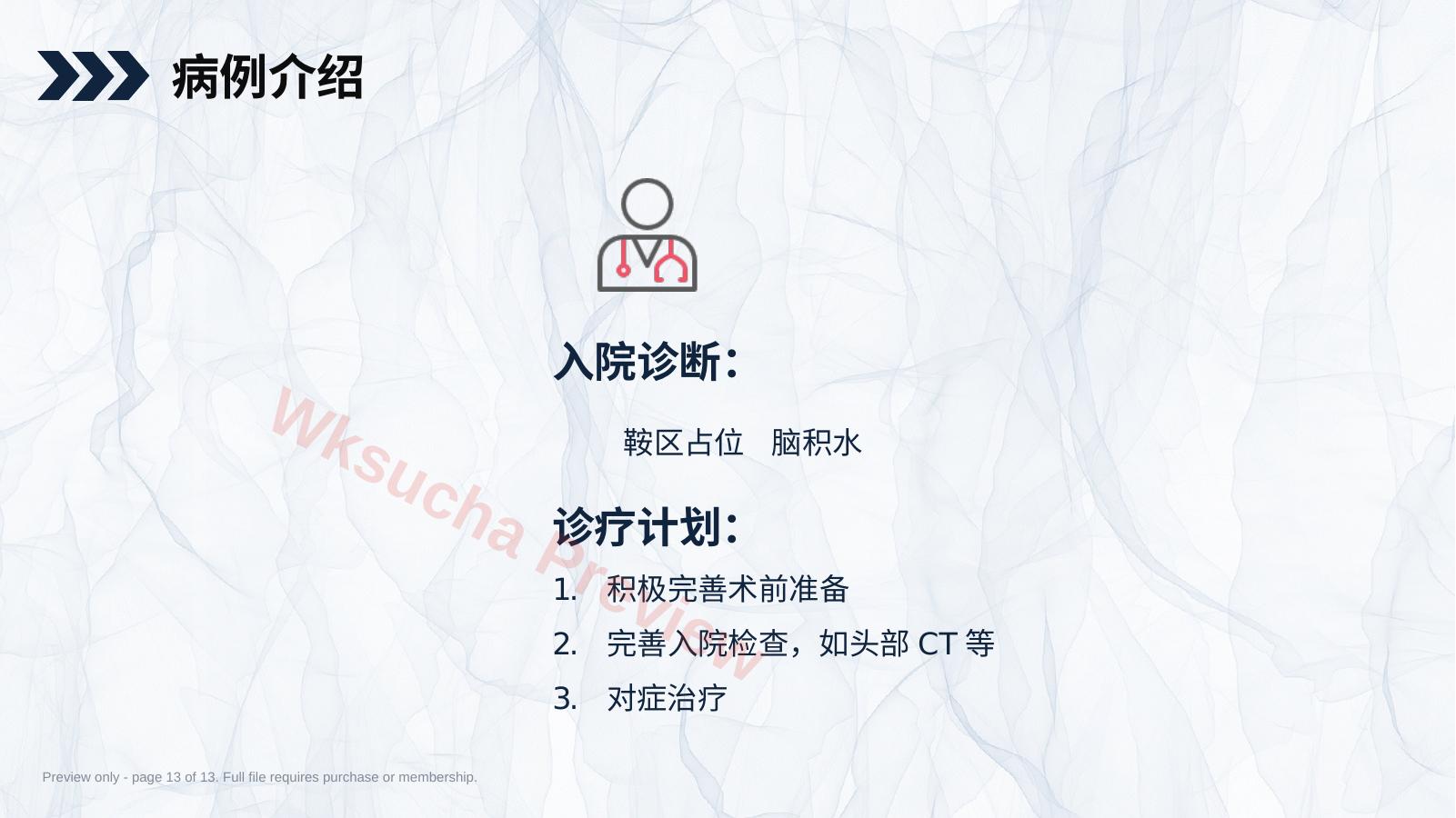 预览第 13 页