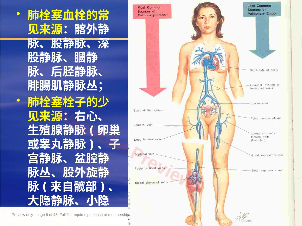 预览第 9 页