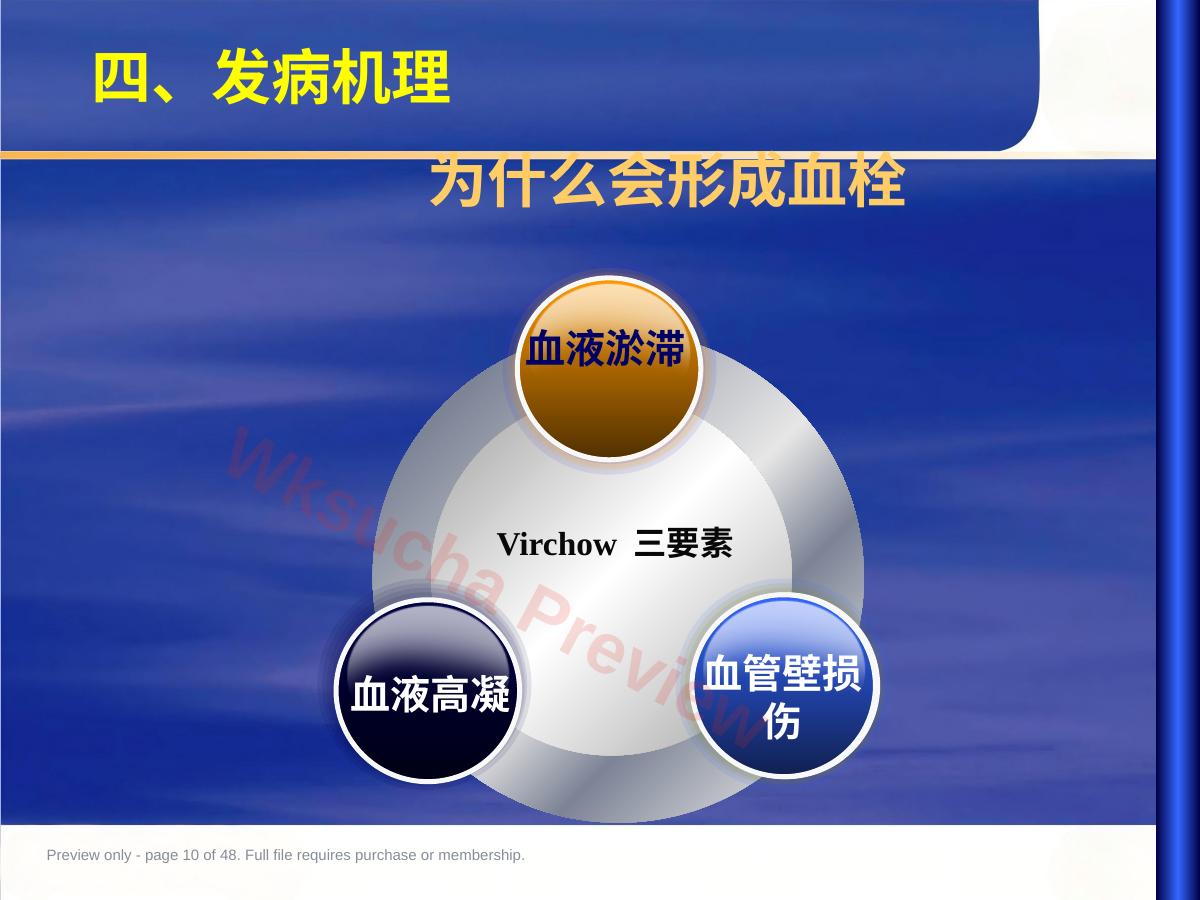 预览第 10 页