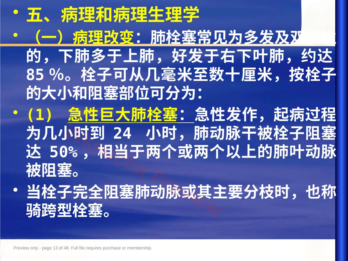 预览第 13 页