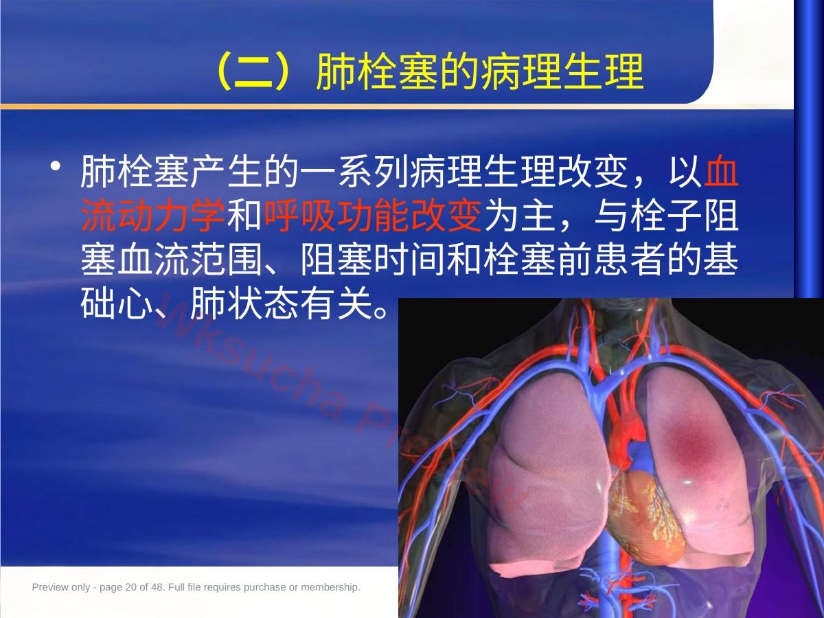 预览第 20 页