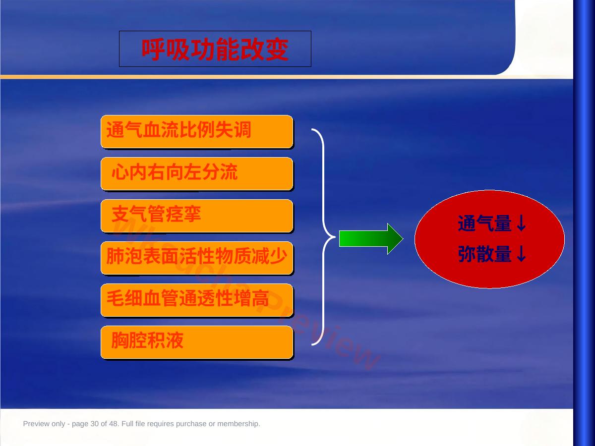 预览第 30 页
