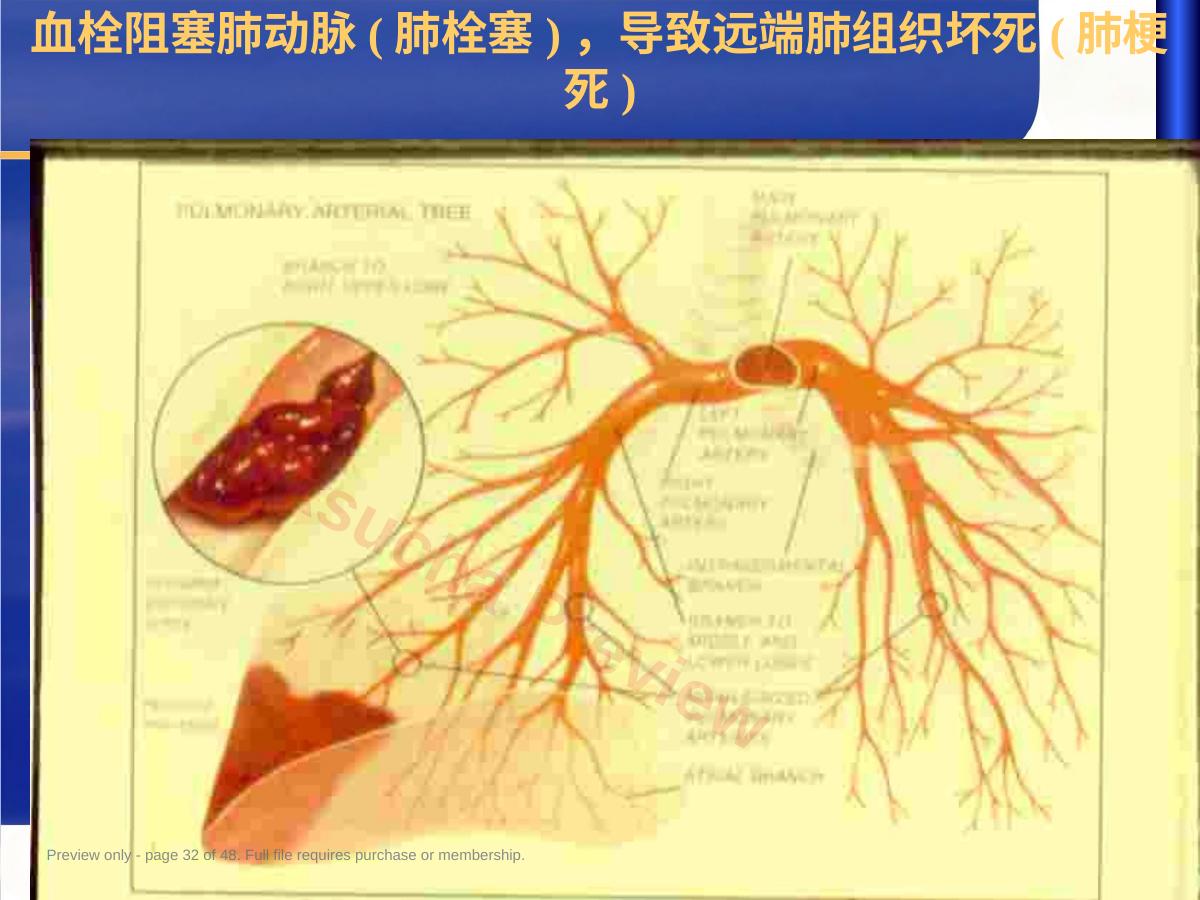 预览第 32 页