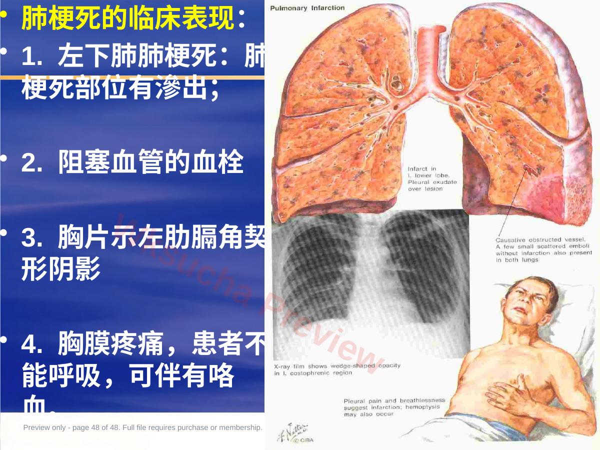 预览第 48 页