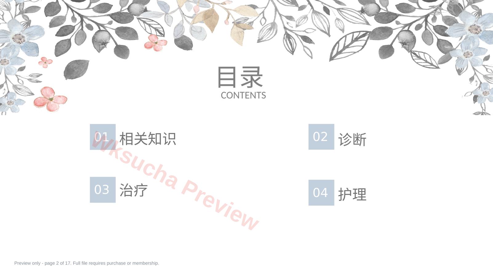 预览第 2 页